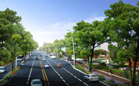 申興路道路