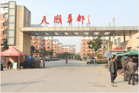 天潮華都